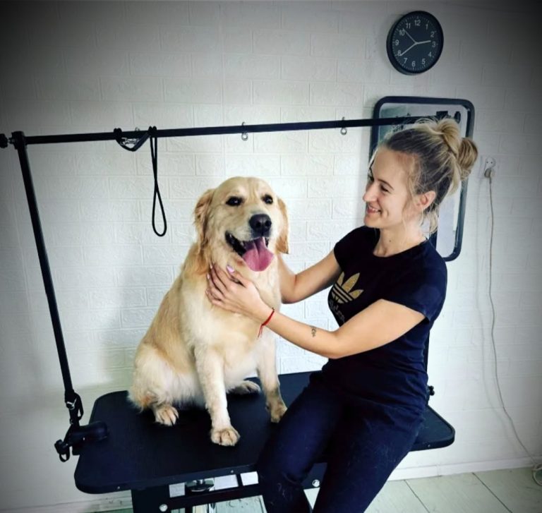 Salon Pod Złota Łapą - Groomer Kalisz Psi Fryzjer - zdjęcia przed i po (7)